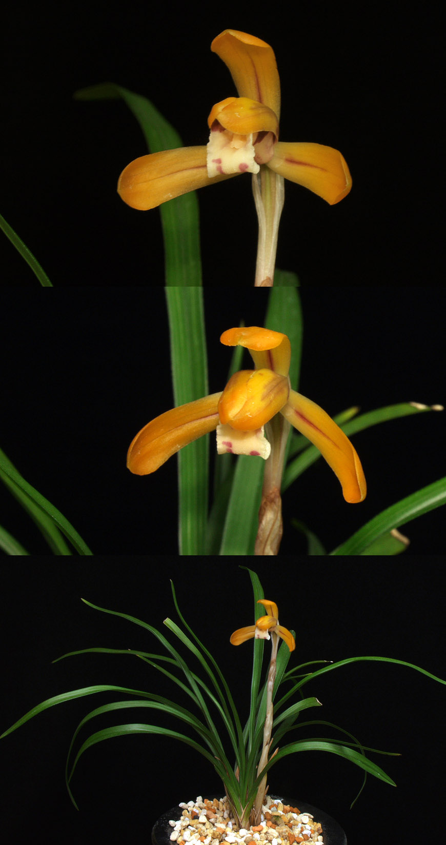 ������ ū������ �� �� �ֽ��ϴ�.