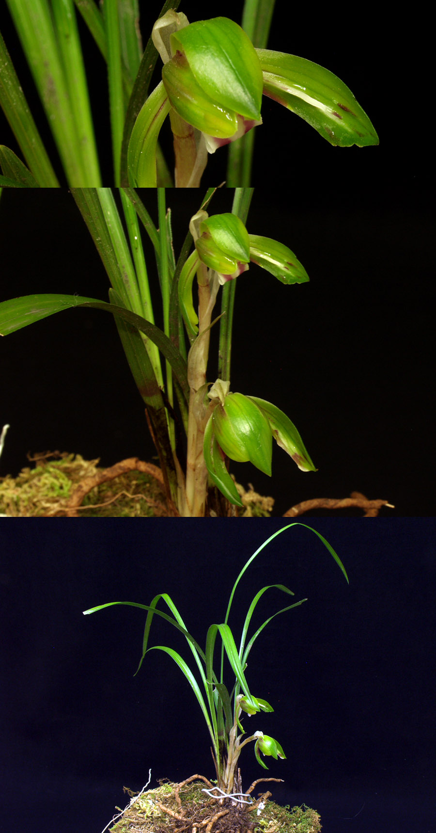 ������ ū������ �� �� �ֽ��ϴ�.