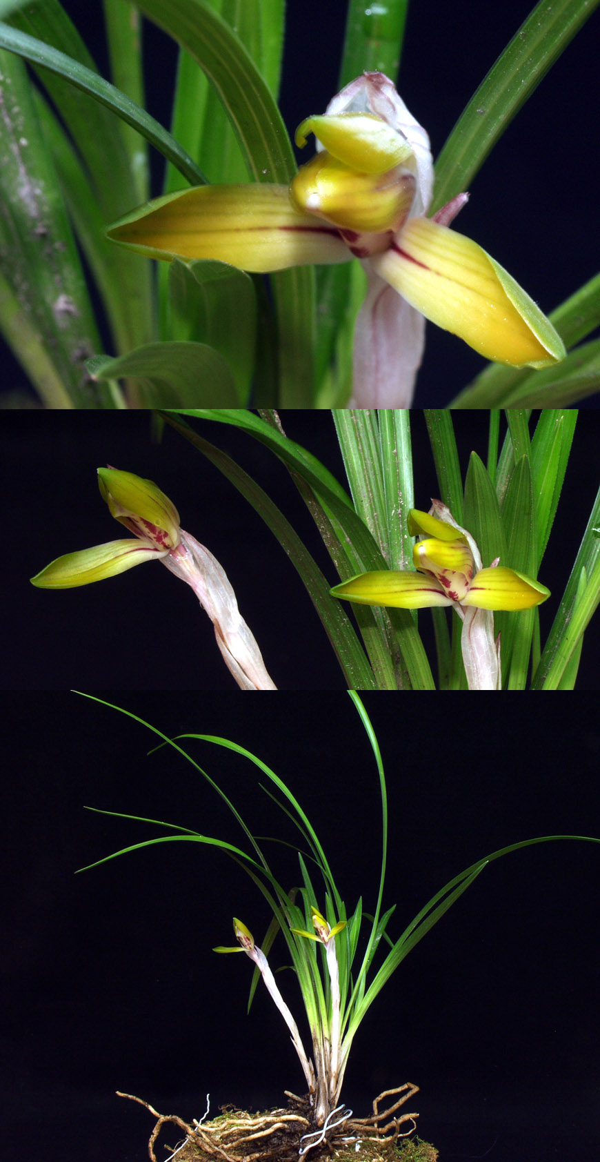 ������ ū������ �� �� �ֽ��ϴ�.