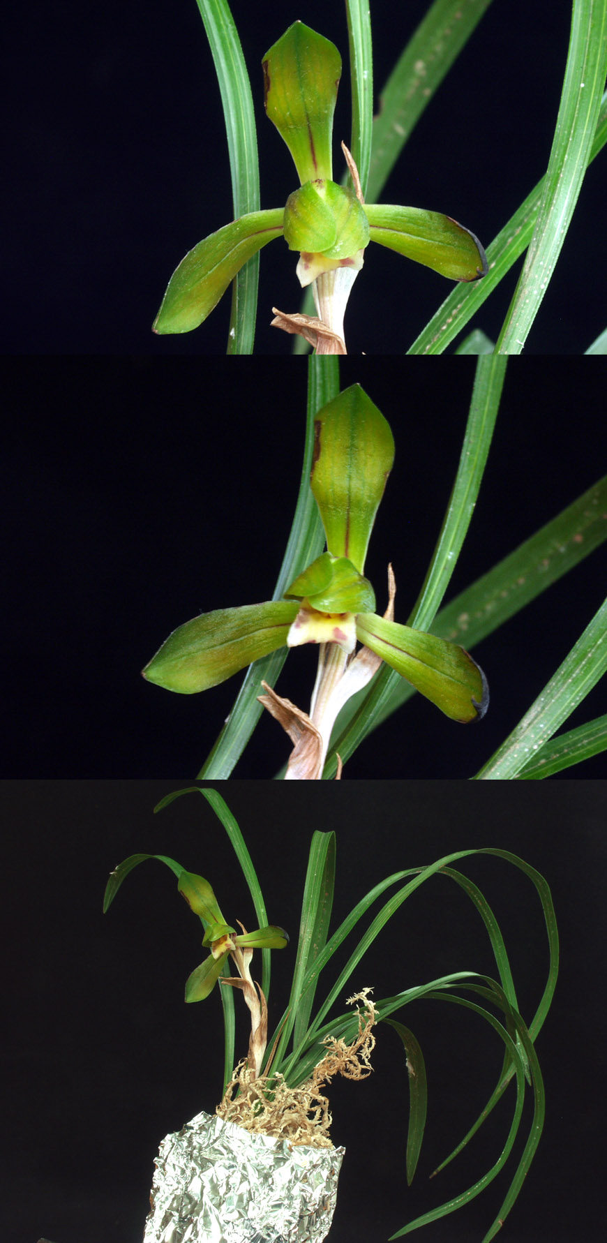 ������ ū������ �� �� �ֽ��ϴ�.