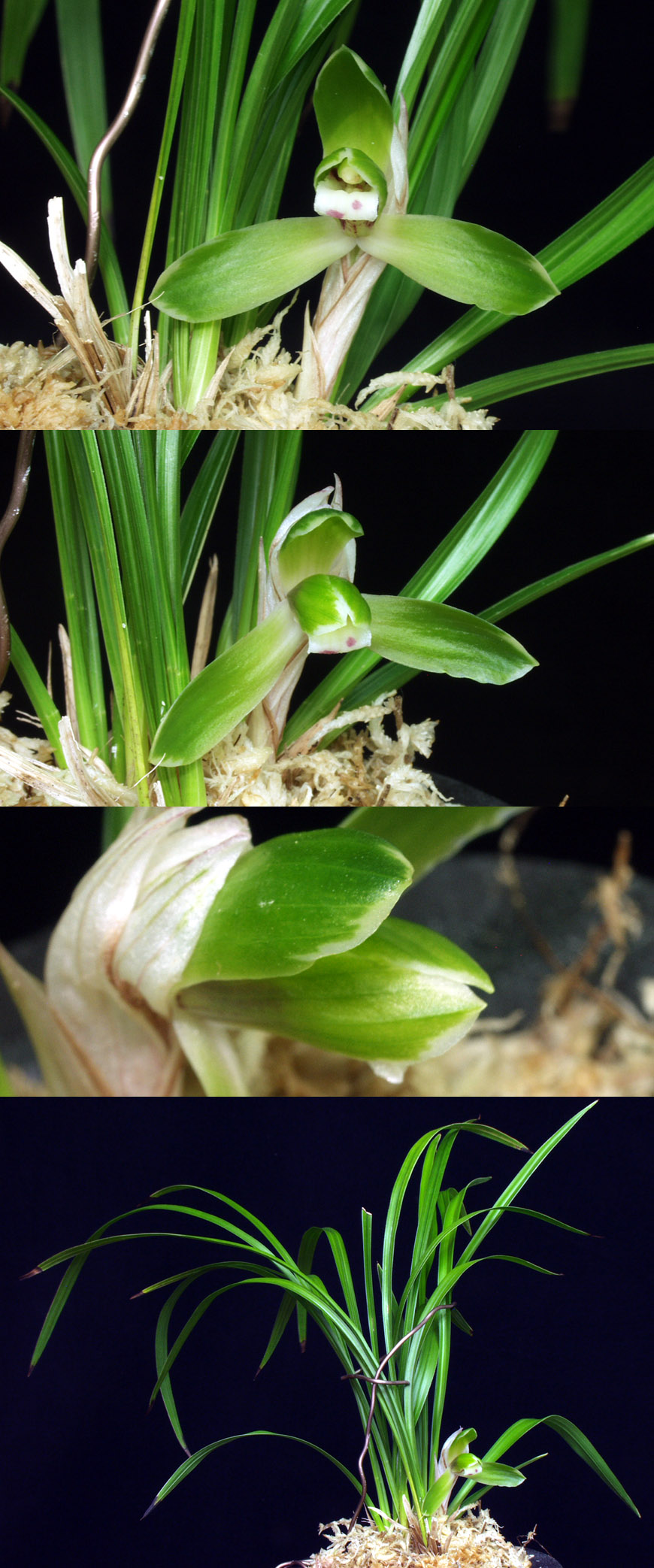 ������ ū������ �� �� �ֽ��ϴ�.