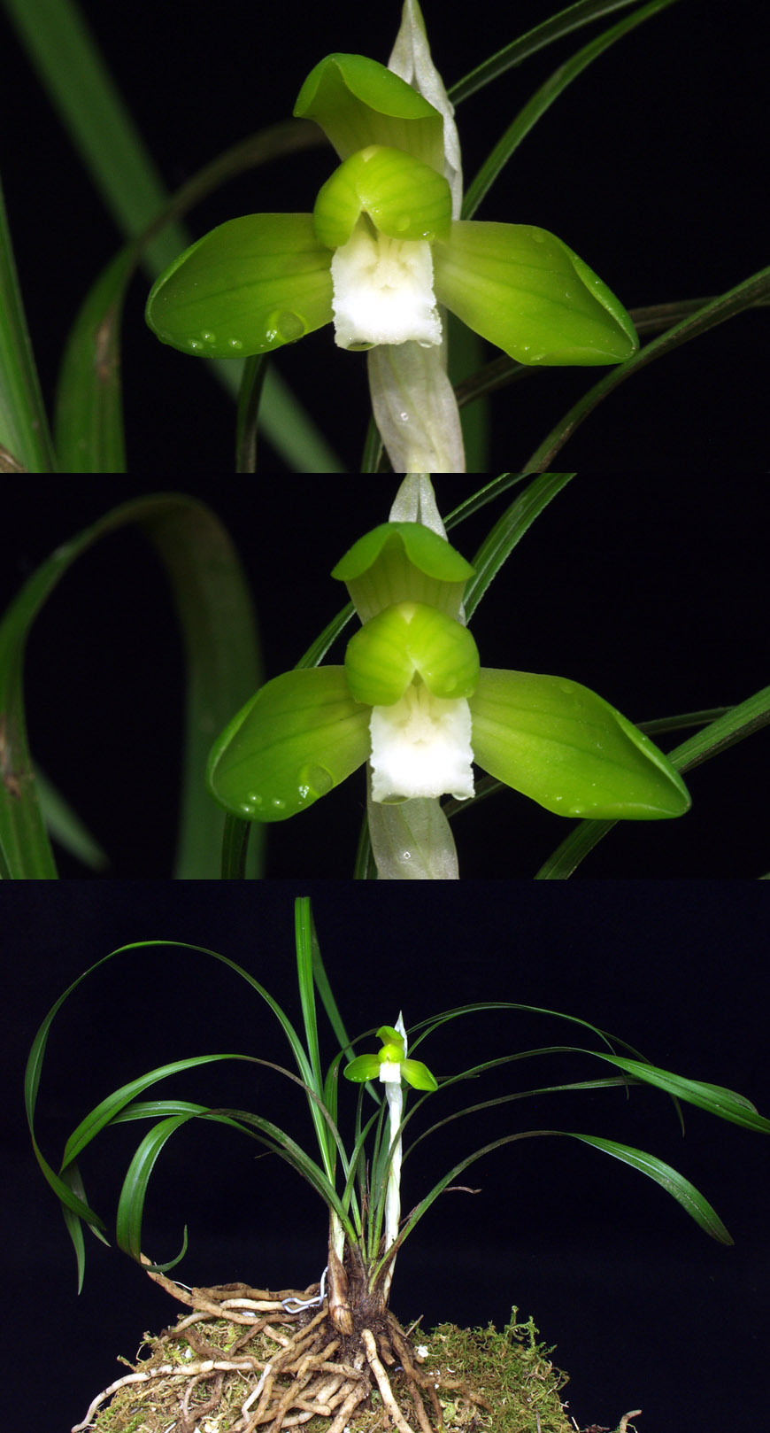 ������ ū������ �� �� �ֽ��ϴ�.