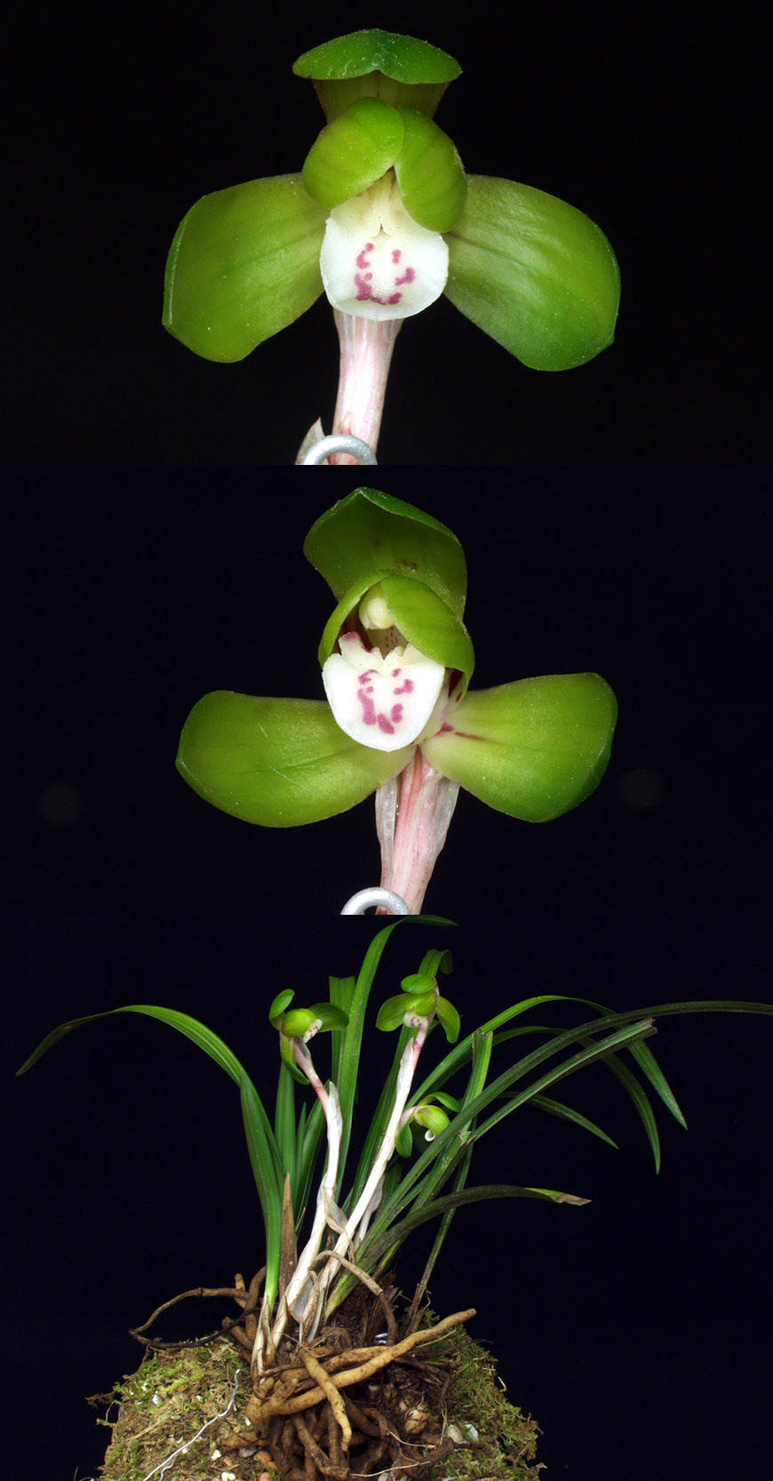 ������ ū������ �� �� �ֽ��ϴ�.