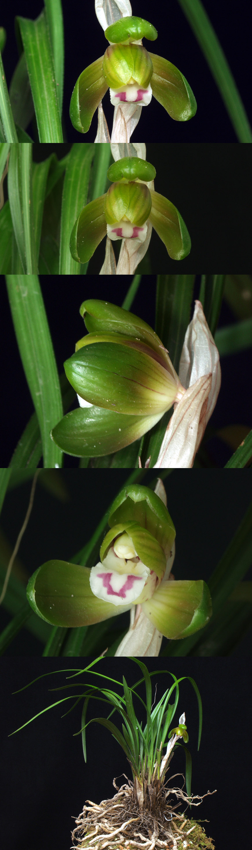 ������ ū������ �� �� �ֽ��ϴ�.