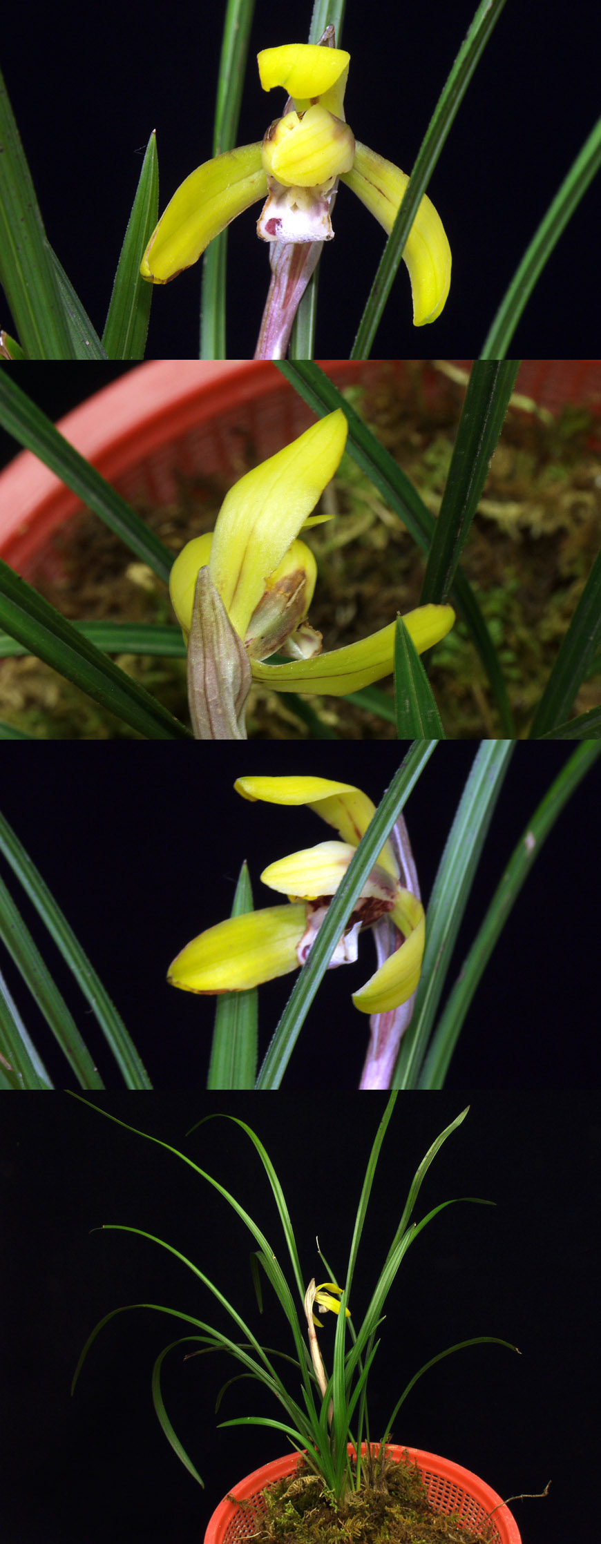 ������ ū������ �� �� �ֽ��ϴ�.