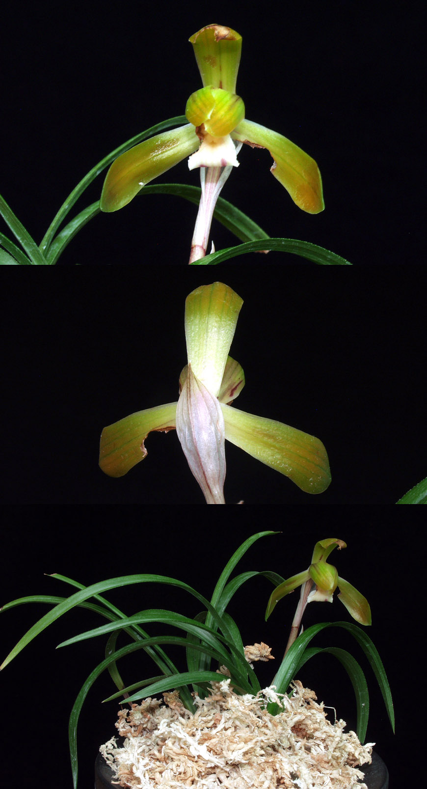 ������ ū������ �� �� �ֽ��ϴ�.