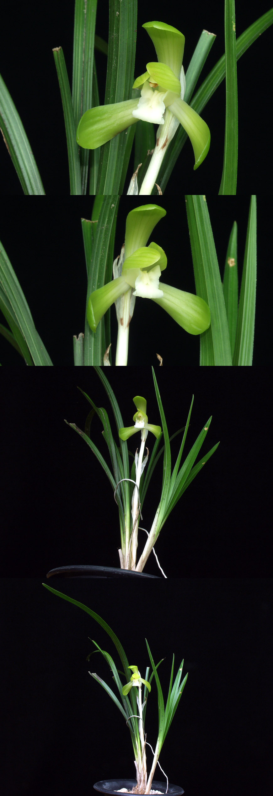 ������ ū������ �� �� �ֽ��ϴ�.