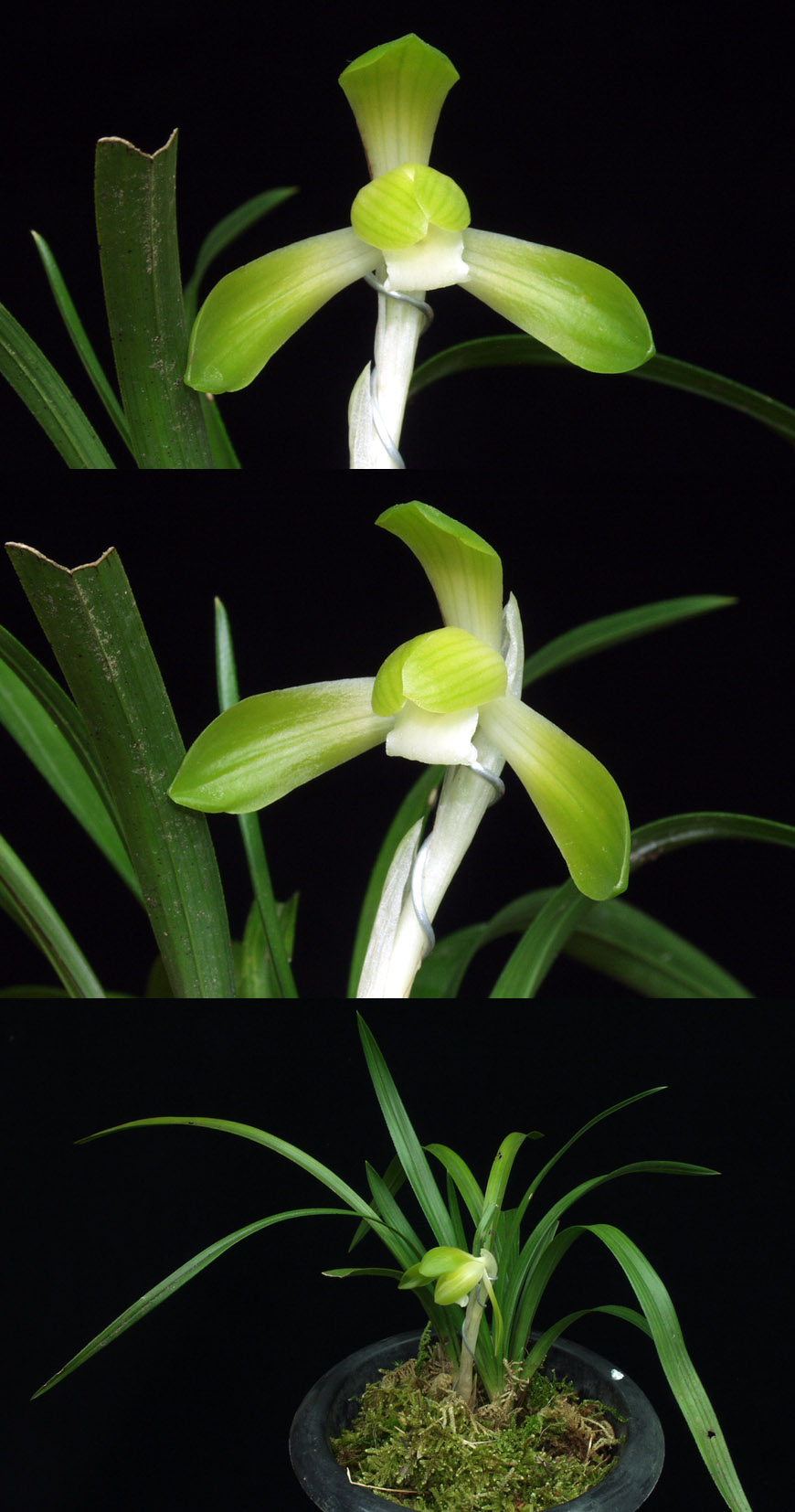 ������ ū������ �� �� �ֽ��ϴ�.