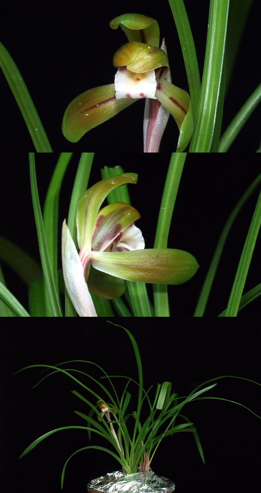 ������ ū������ �� �� �ֽ��ϴ�.