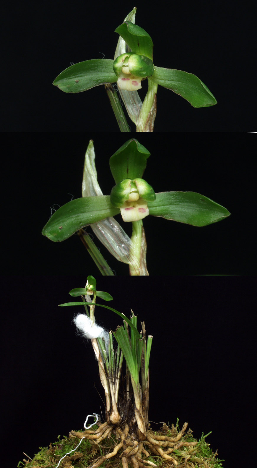 ������ ū������ �� �� �ֽ��ϴ�.