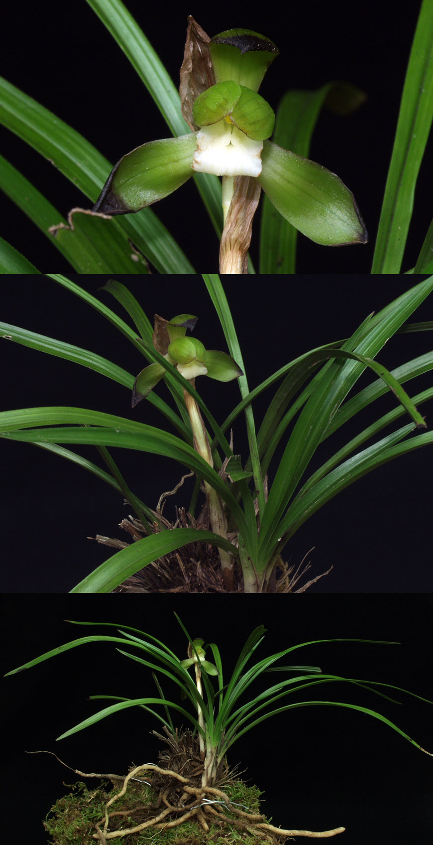 ������ ū������ �� �� �ֽ��ϴ�.