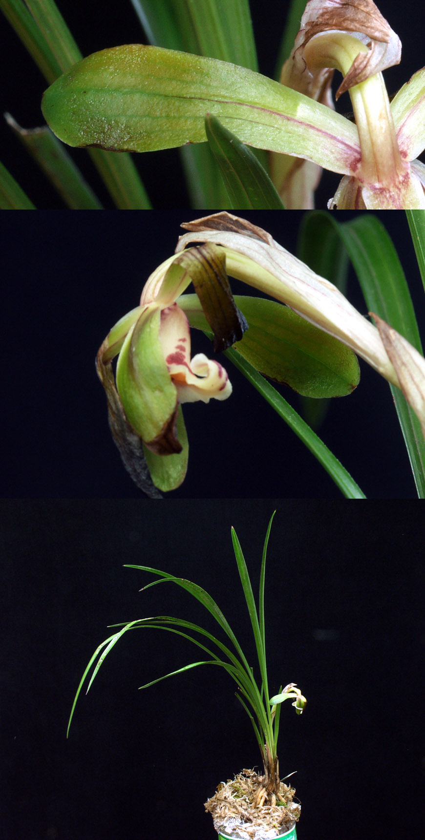 ������ ū������ �� �� �ֽ��ϴ�.