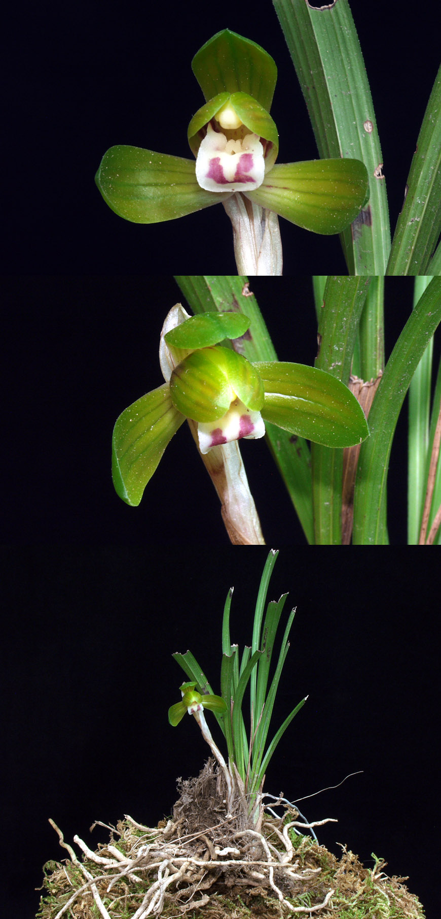 ������ ū������ �� �� �ֽ��ϴ�.