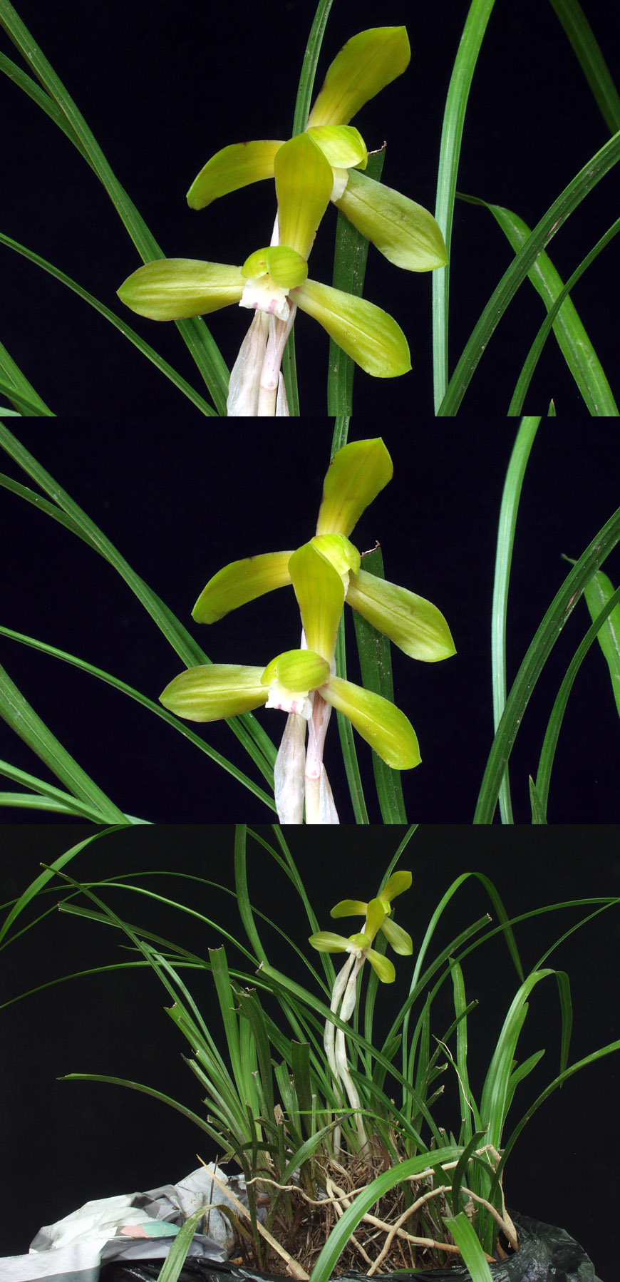 ������ ū������ �� �� �ֽ��ϴ�.