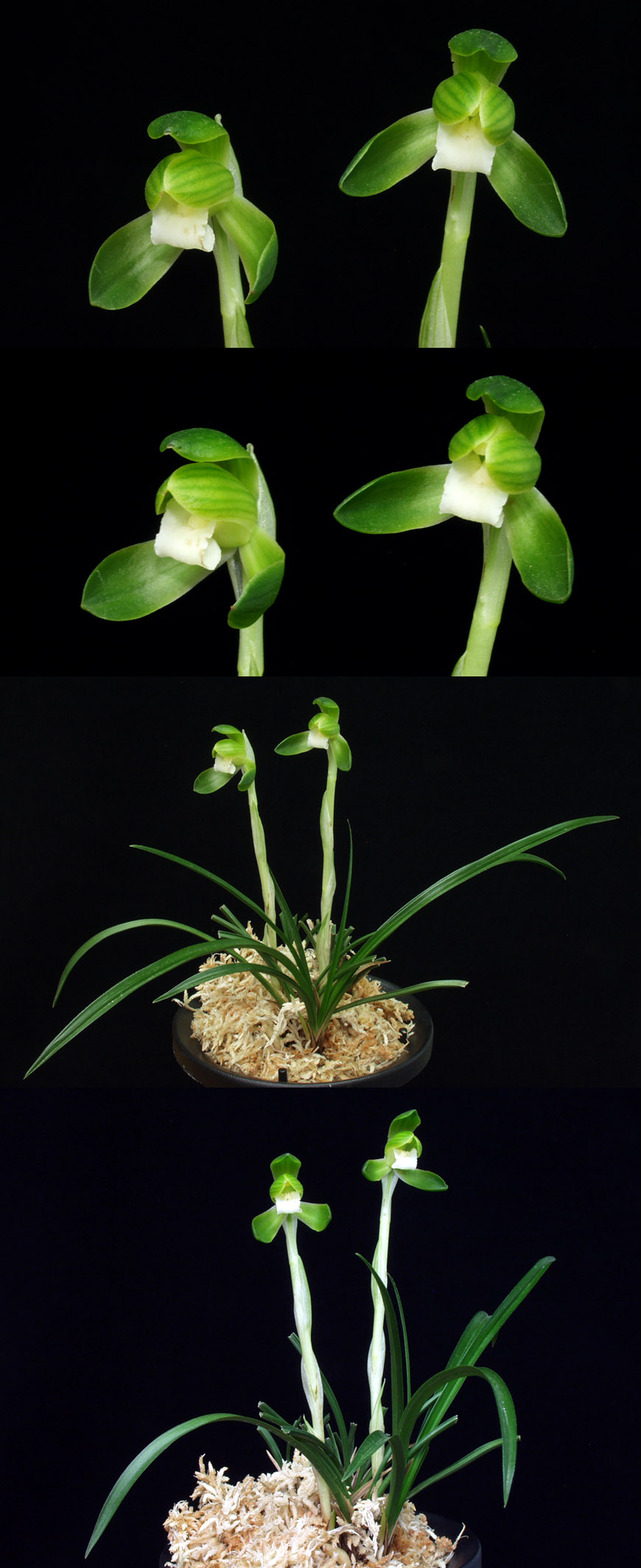 ������ ū������ �� �� �ֽ��ϴ�.