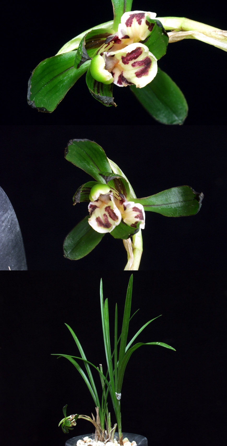 ������ ū������ �� �� �ֽ��ϴ�.