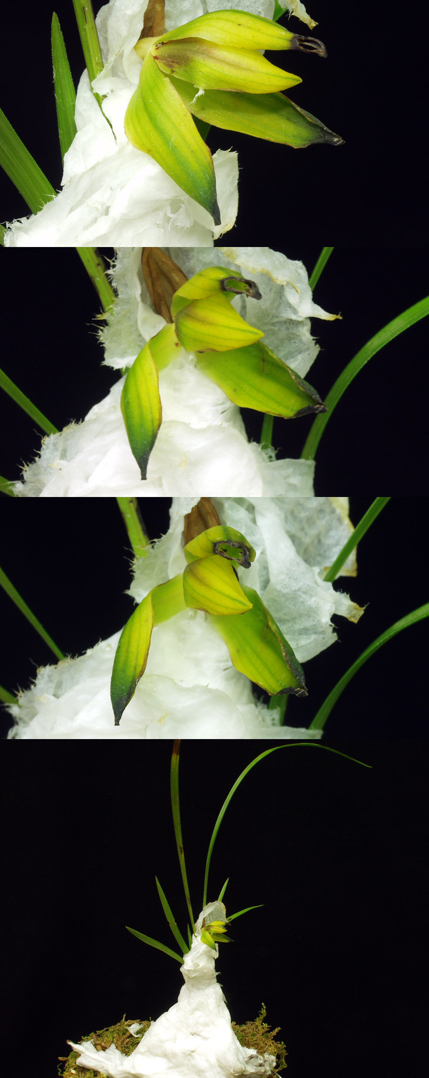 ������ ū������ �� �� �ֽ��ϴ�.