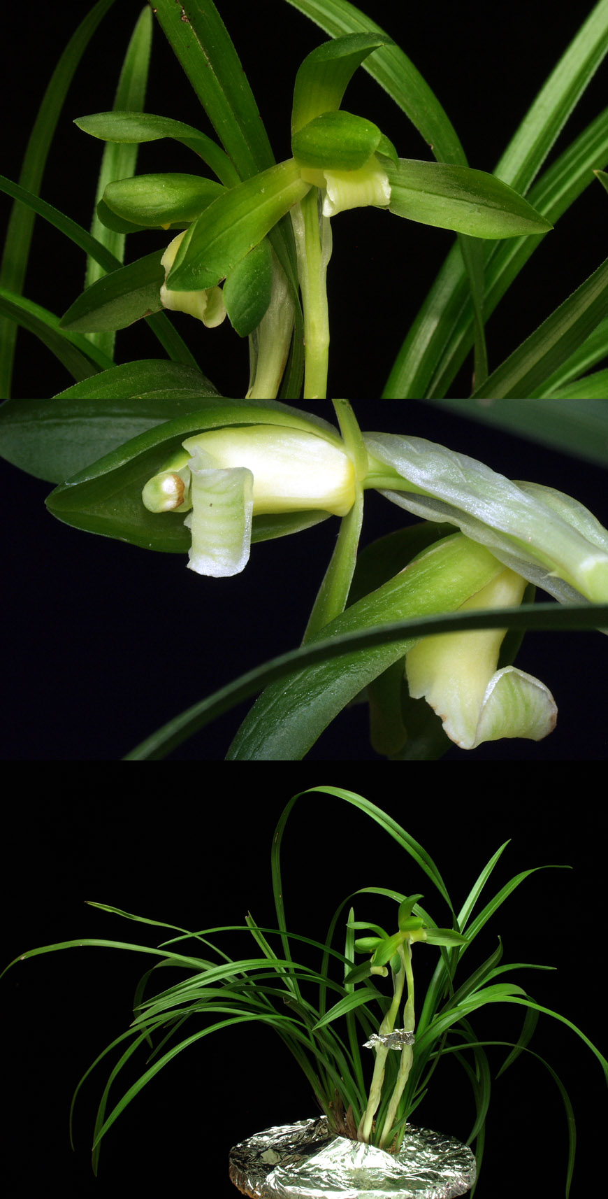 ������ ū������ �� �� �ֽ��ϴ�.