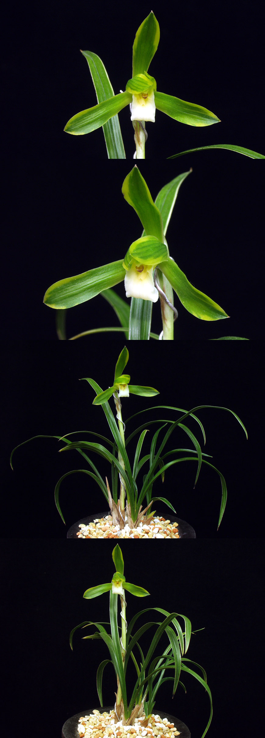 ������ ū������ �� �� �ֽ��ϴ�.