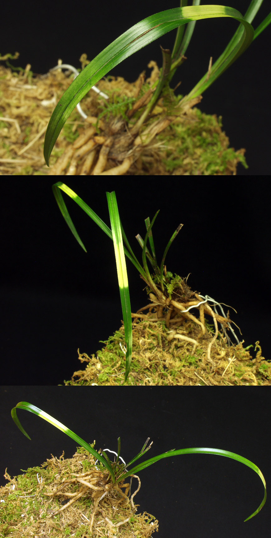 ������ ū������ �� �� �ֽ��ϴ�.