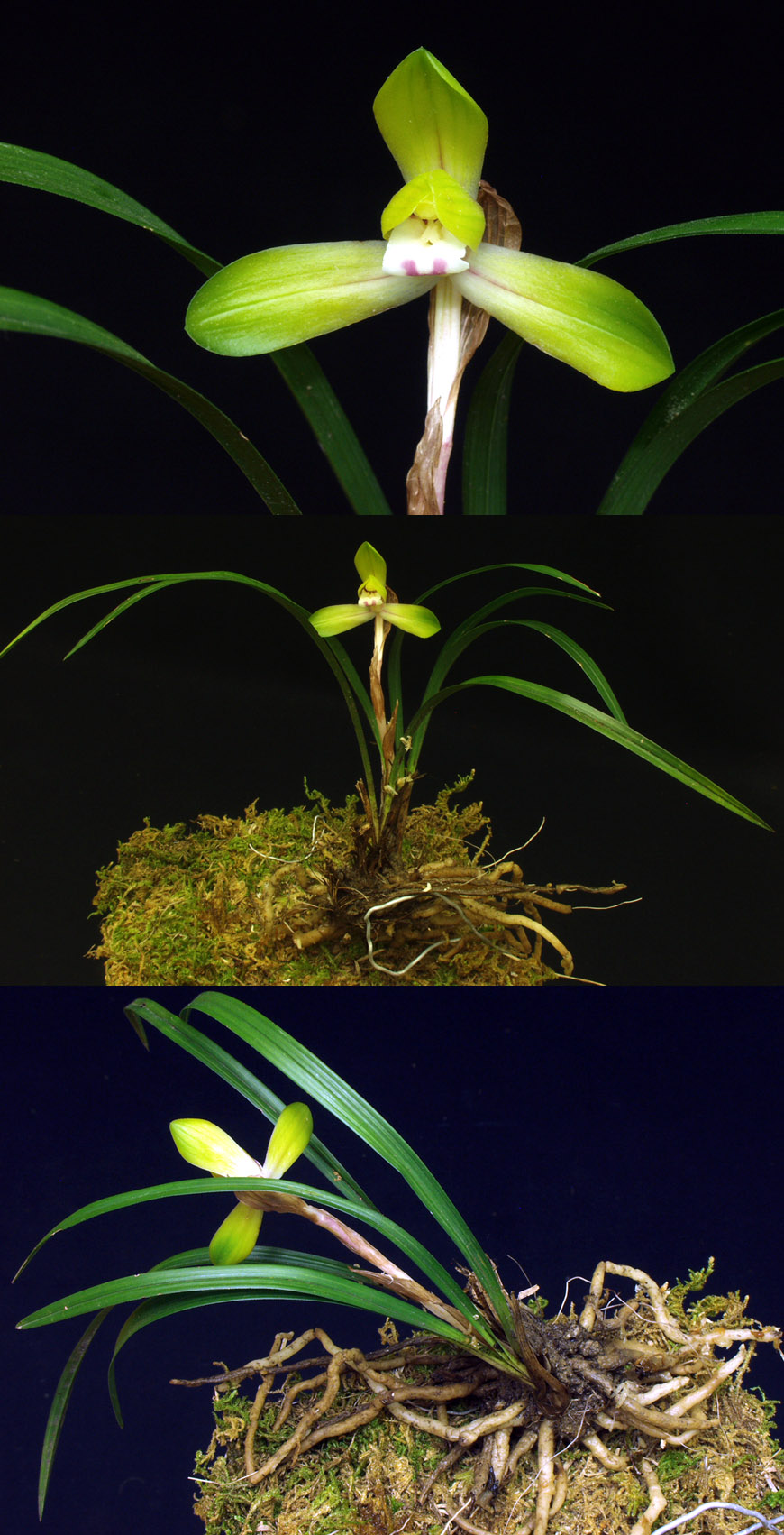 ������ ū������ �� �� �ֽ��ϴ�.