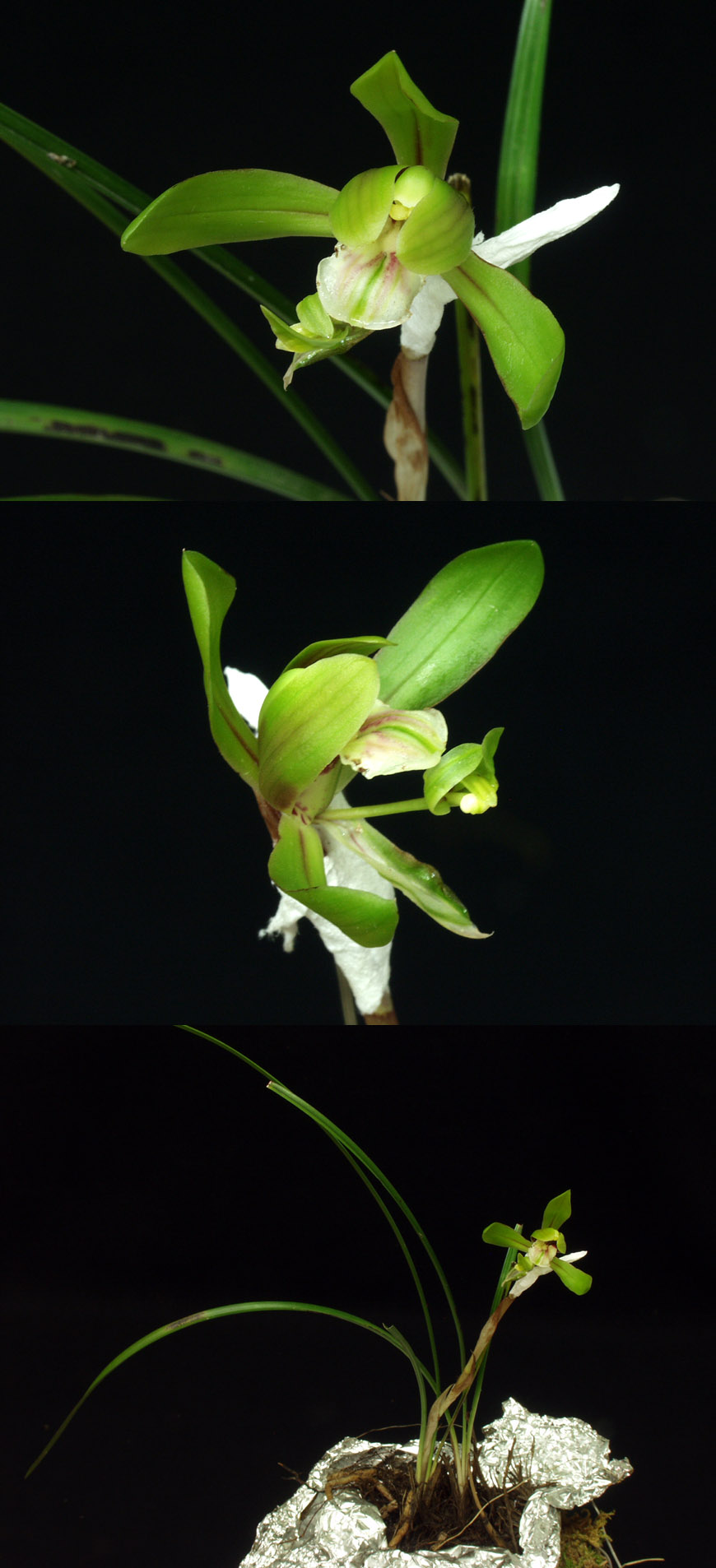 ������ ū������ �� �� �ֽ��ϴ�.