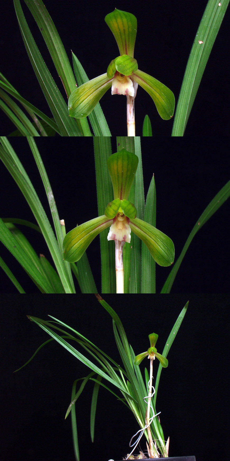 ������ ū������ �� �� �ֽ��ϴ�.