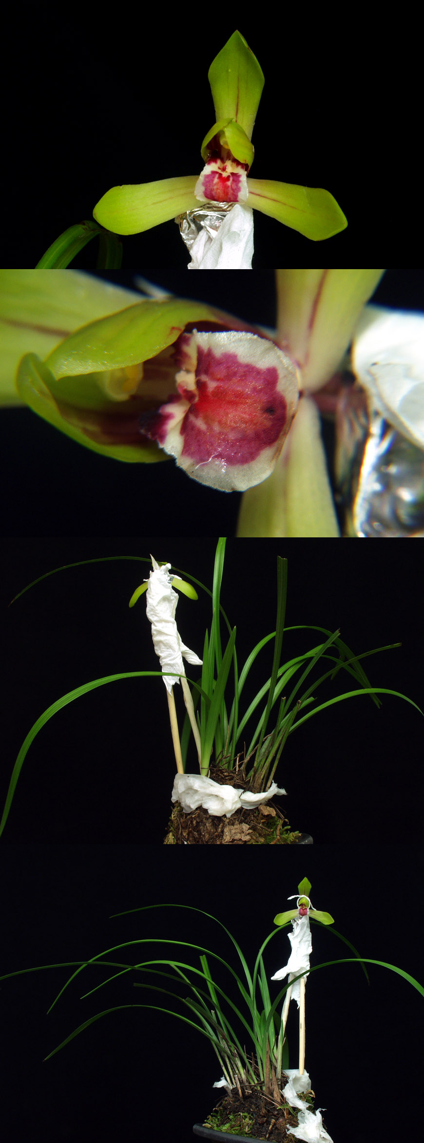 ������ ū������ �� �� �ֽ��ϴ�.