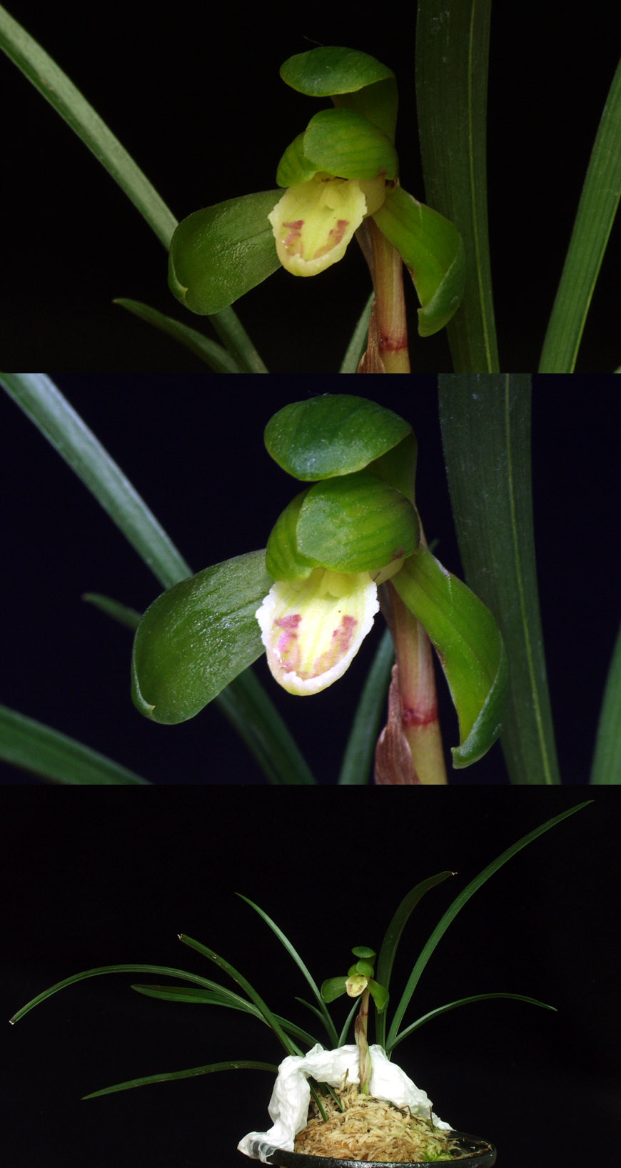 ������ ū������ �� �� �ֽ��ϴ�.