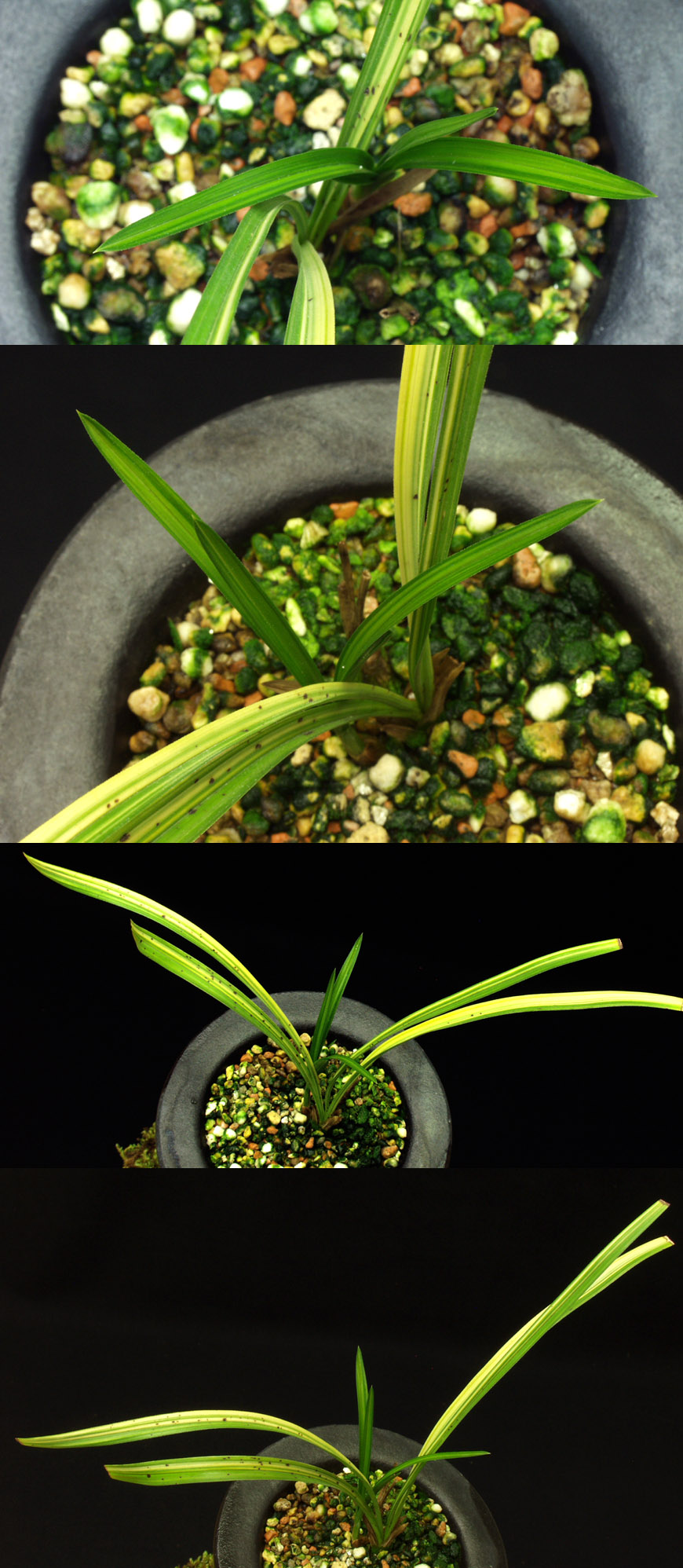 ������ ū������ �� �� �ֽ��ϴ�.