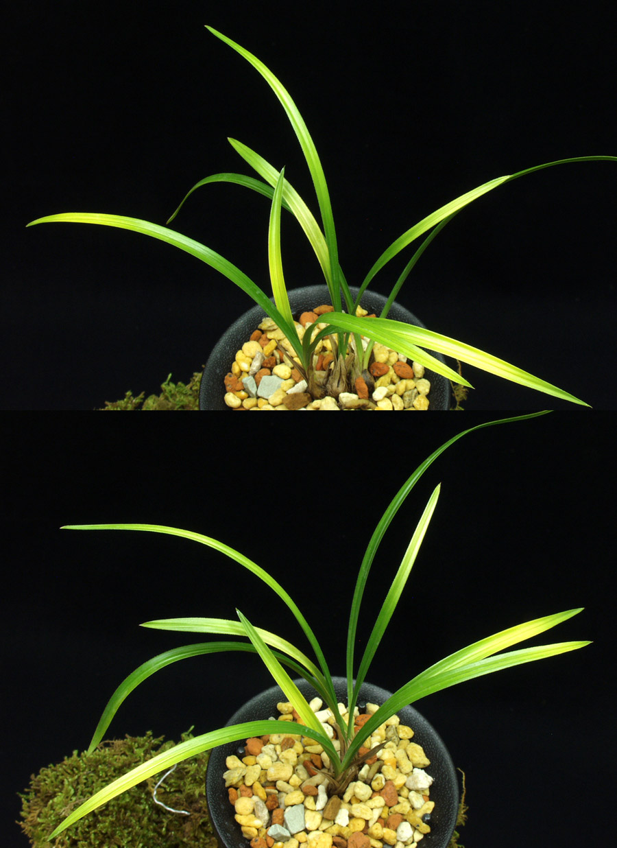 ������ ū������ �� �� �ֽ��ϴ�.