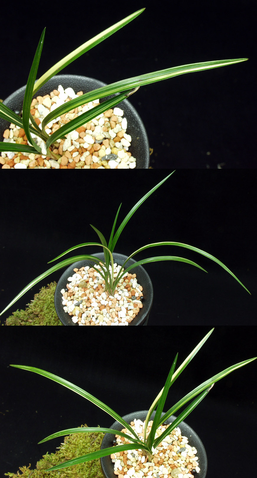 ������ ū������ �� �� �ֽ��ϴ�.