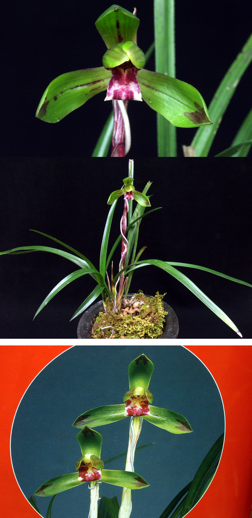 ������ ū������ �� �� �ֽ��ϴ�.