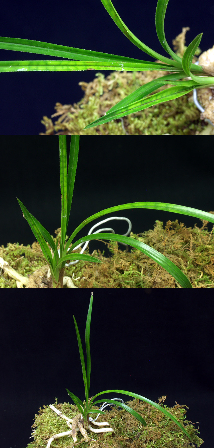 ������ ū������ �� �� �ֽ��ϴ�.