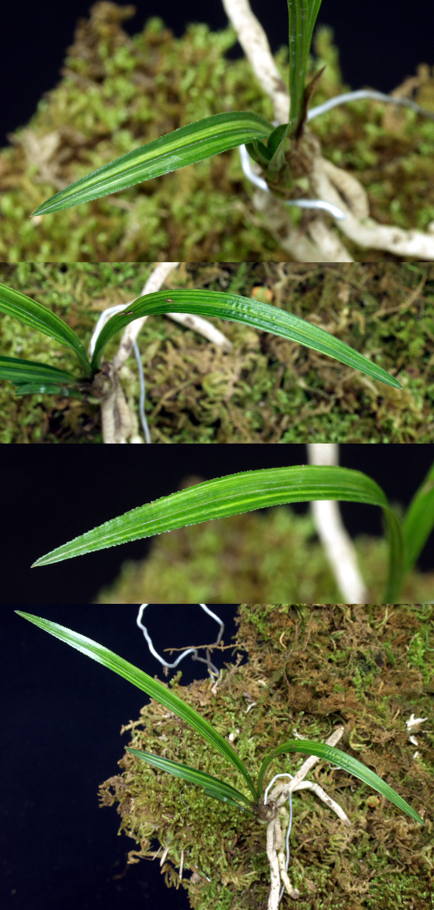 ������ ū������ �� �� �ֽ��ϴ�.