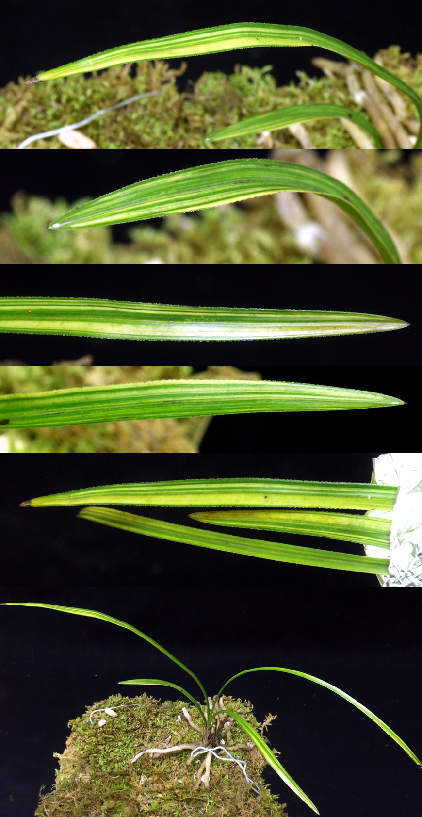 ������ ū������ �� �� �ֽ��ϴ�.