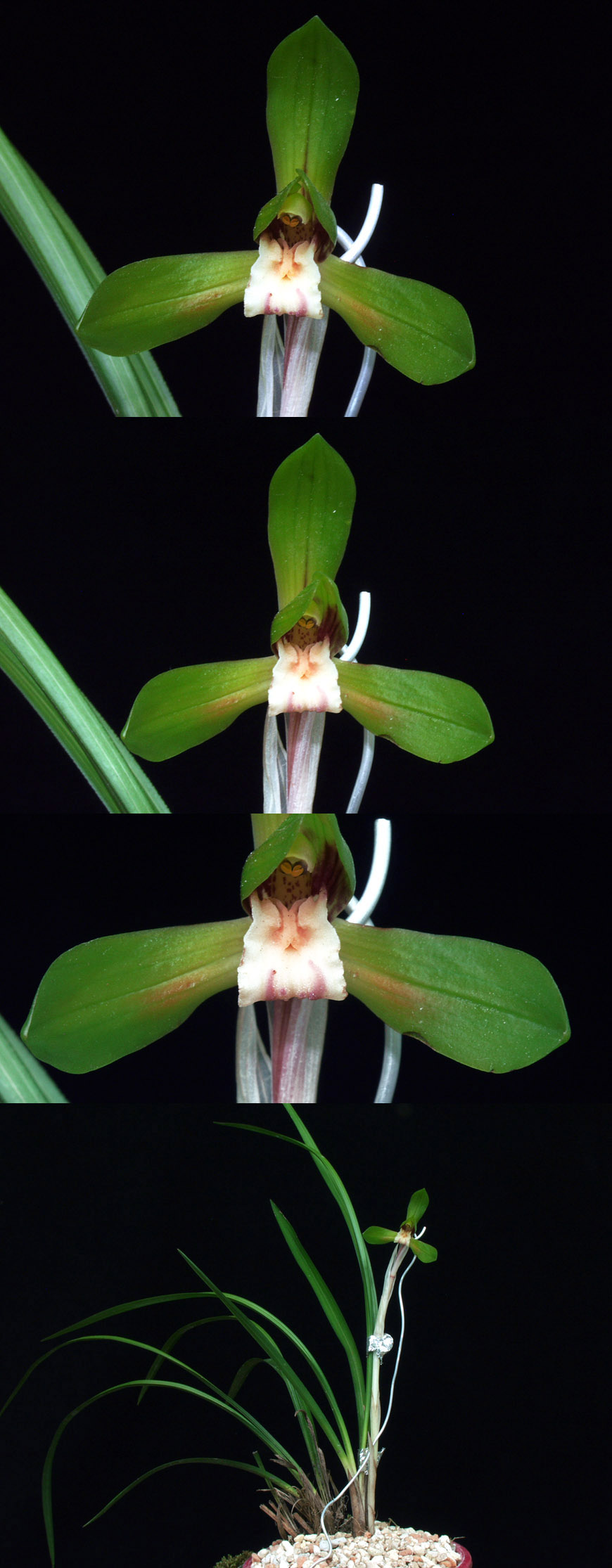 ������ ū������ �� �� �ֽ��ϴ�.