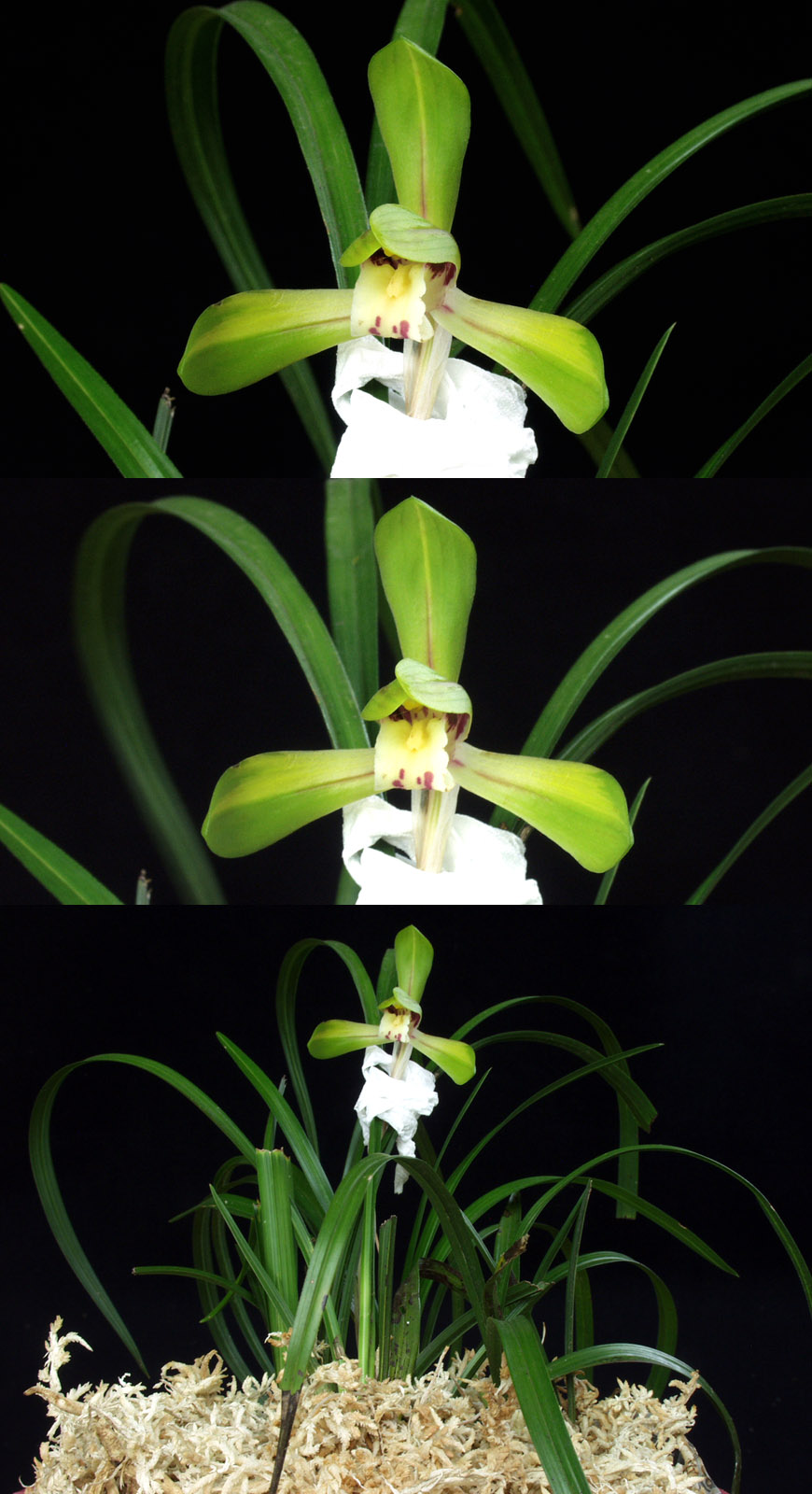 ������ ū������ �� �� �ֽ��ϴ�.