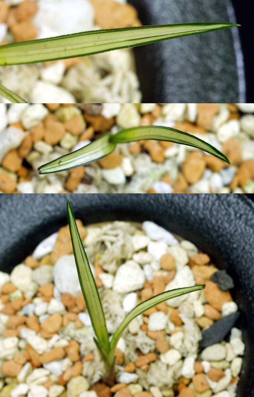 ������ ū������ �� �� �ֽ��ϴ�.