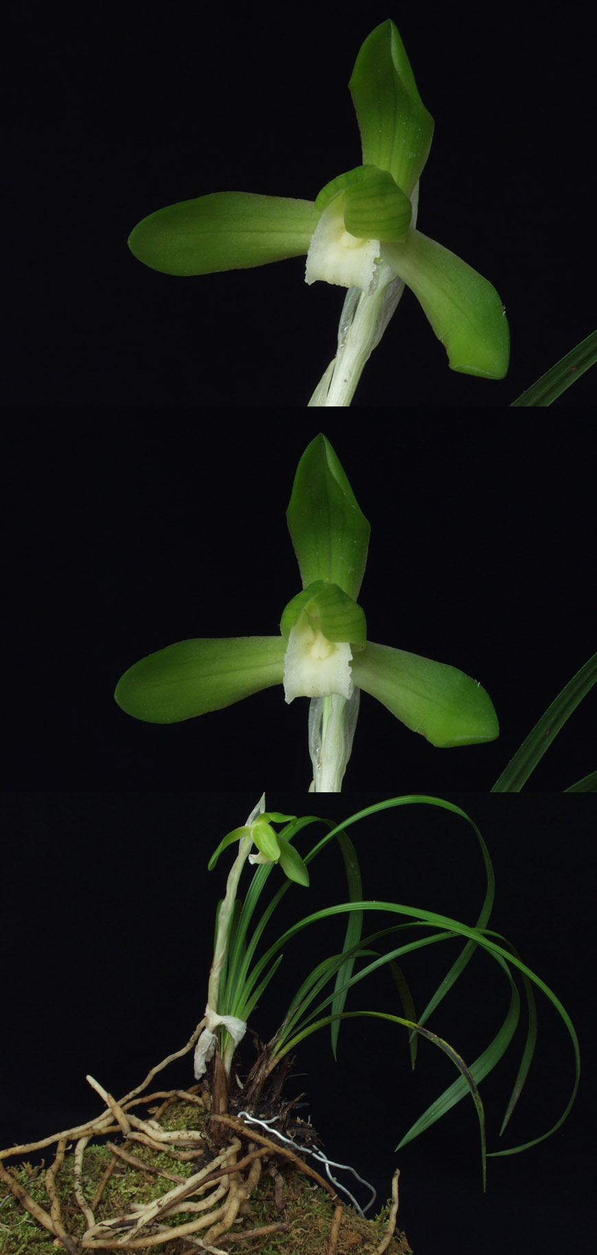 ������ ū������ �� �� �ֽ��ϴ�.