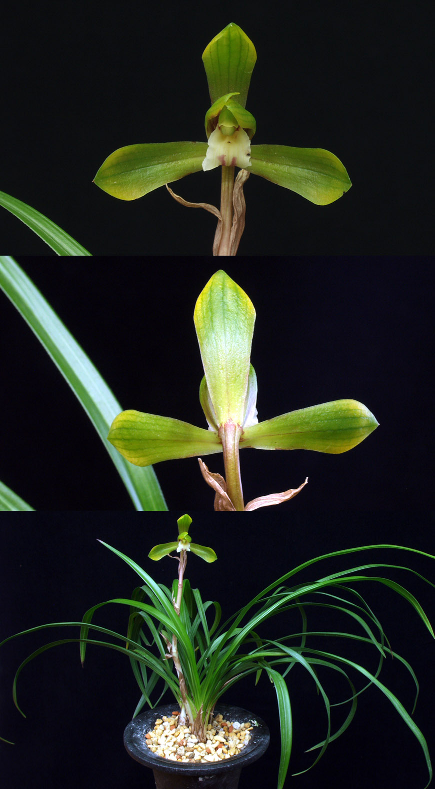 ������ ū������ �� �� �ֽ��ϴ�.