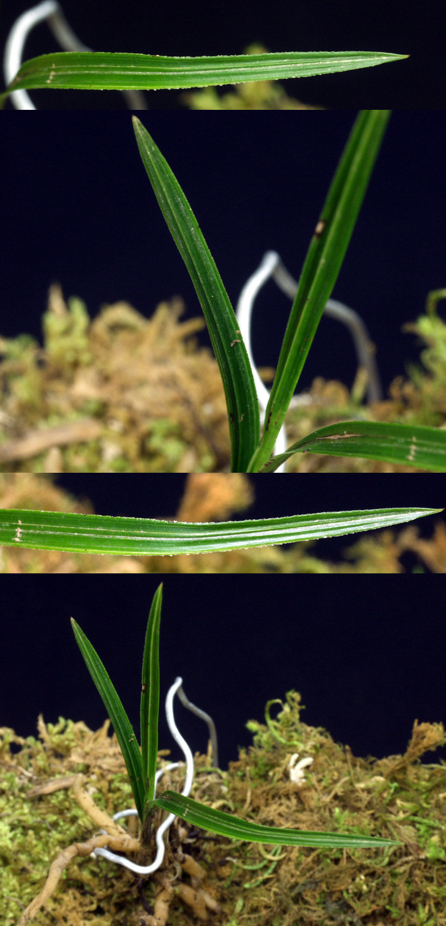 ������ ū������ �� �� �ֽ��ϴ�.