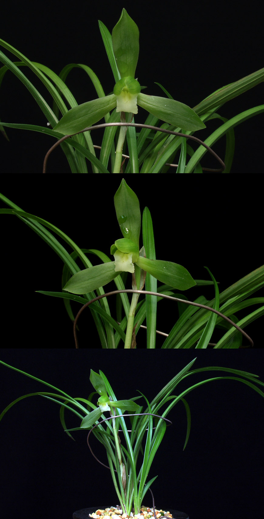 ������ ū������ �� �� �ֽ��ϴ�.