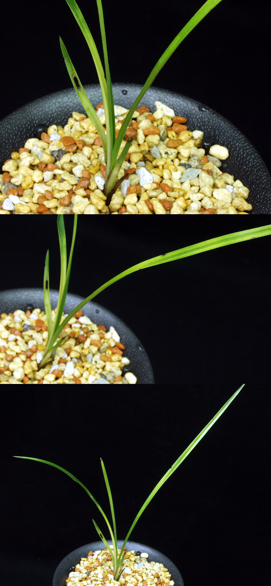 ������ ū������ �� �� �ֽ��ϴ�.