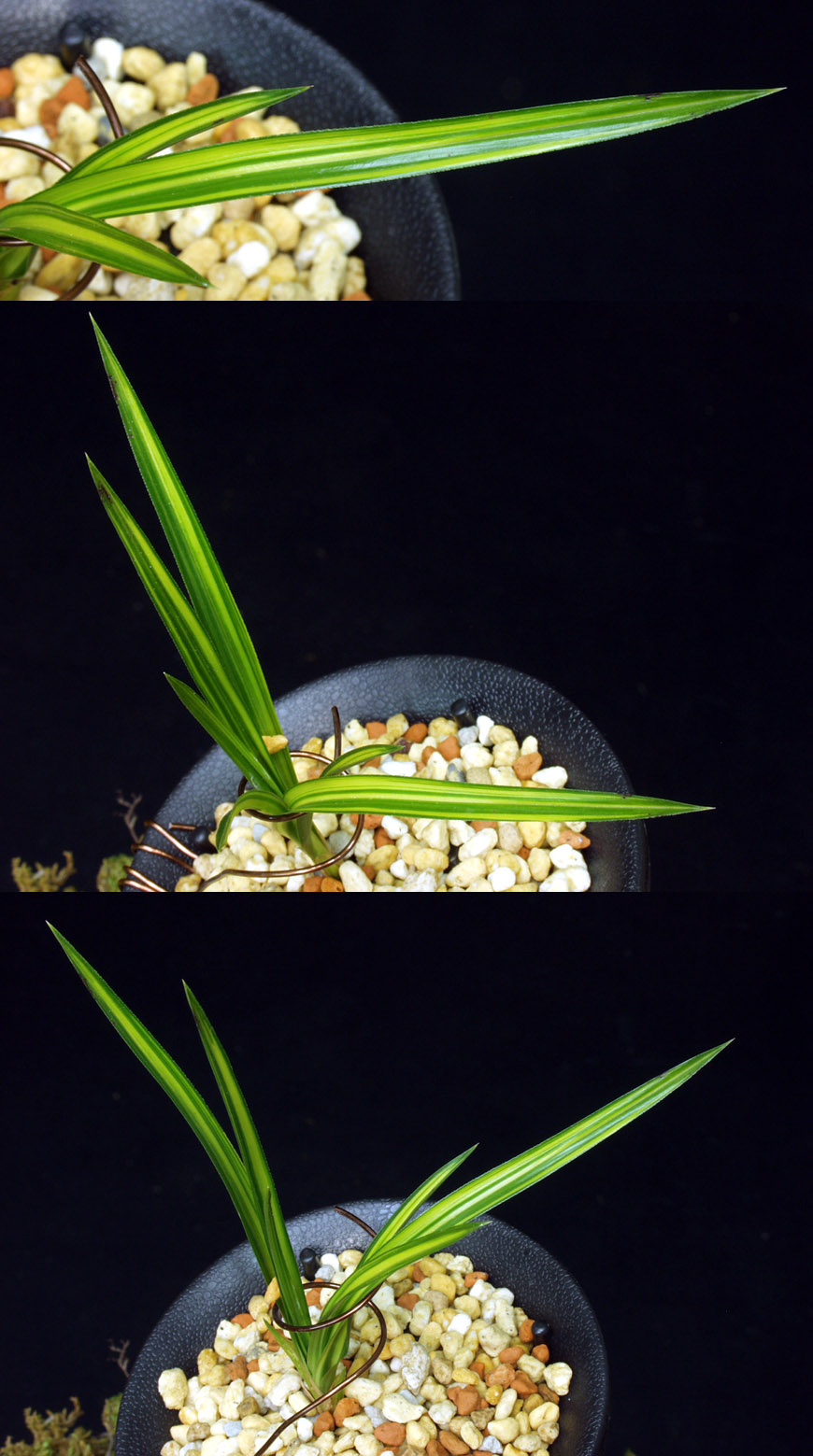 ������ ū������ �� �� �ֽ��ϴ�.