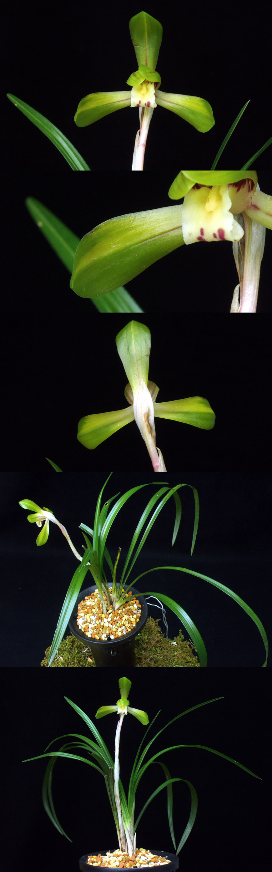 ������ ū������ �� �� �ֽ��ϴ�.