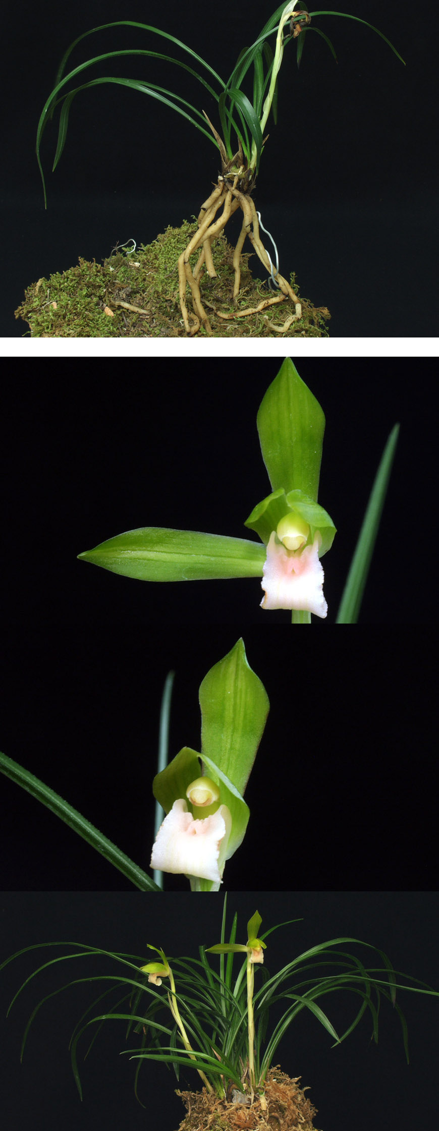 ������ ū������ �� �� �ֽ��ϴ�.