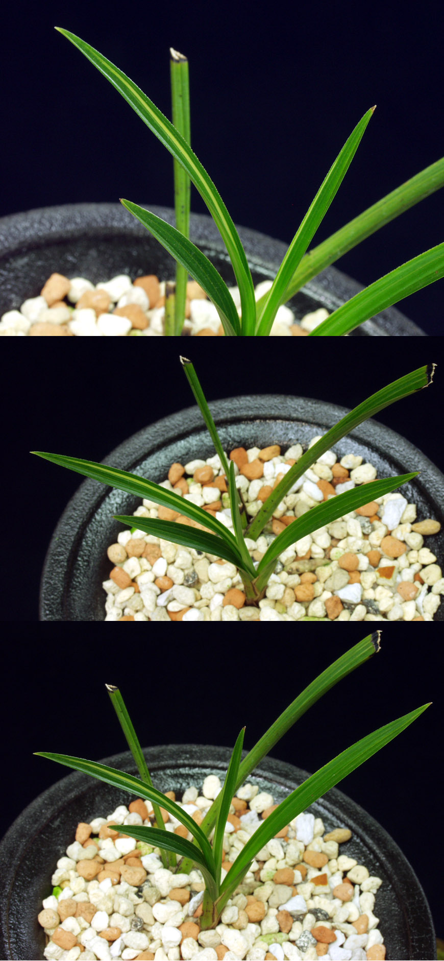 ������ ū������ �� �� �ֽ��ϴ�.