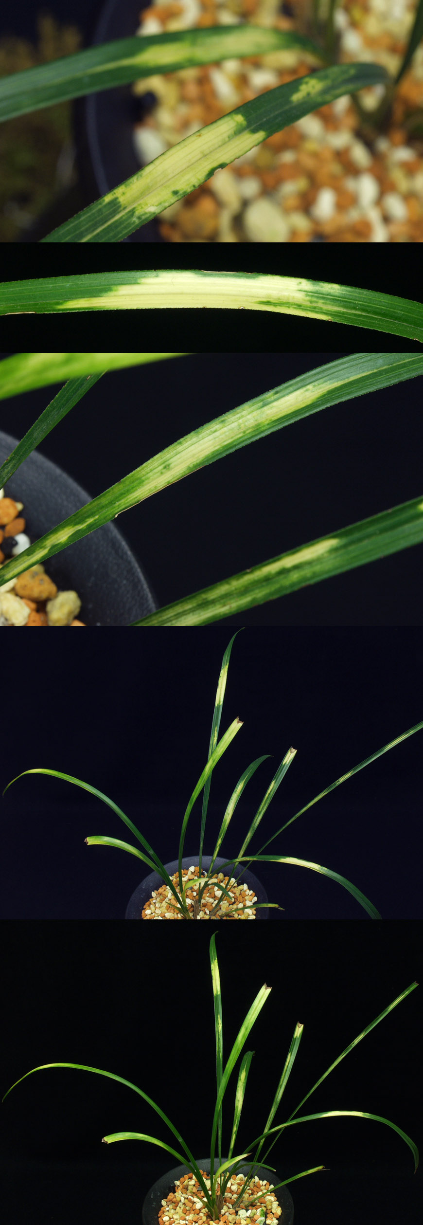 ������ ū������ �� �� �ֽ��ϴ�.