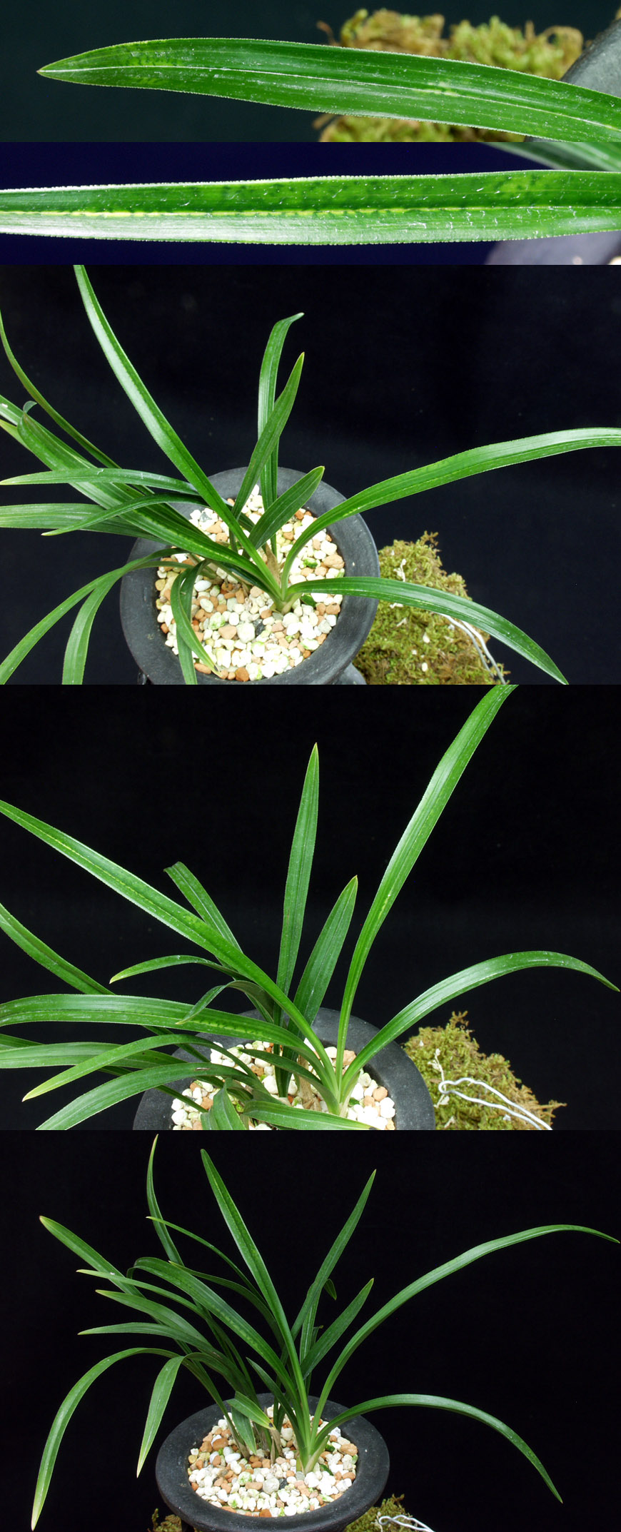 ������ ū������ �� �� �ֽ��ϴ�.